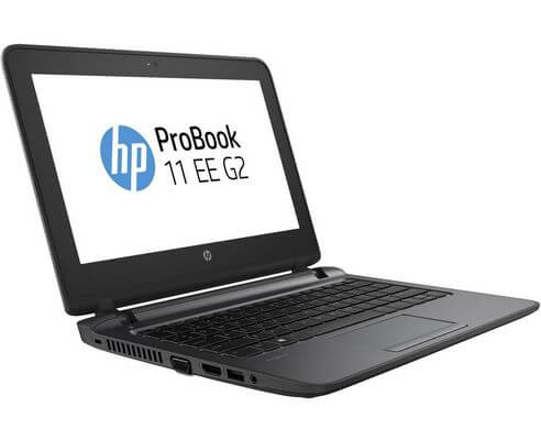 Замена петель на ноутбуке HP ProBook 11 EE G2 T6Q68EA